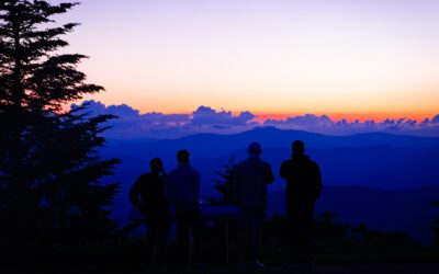 The Art of Asking Better Questions
